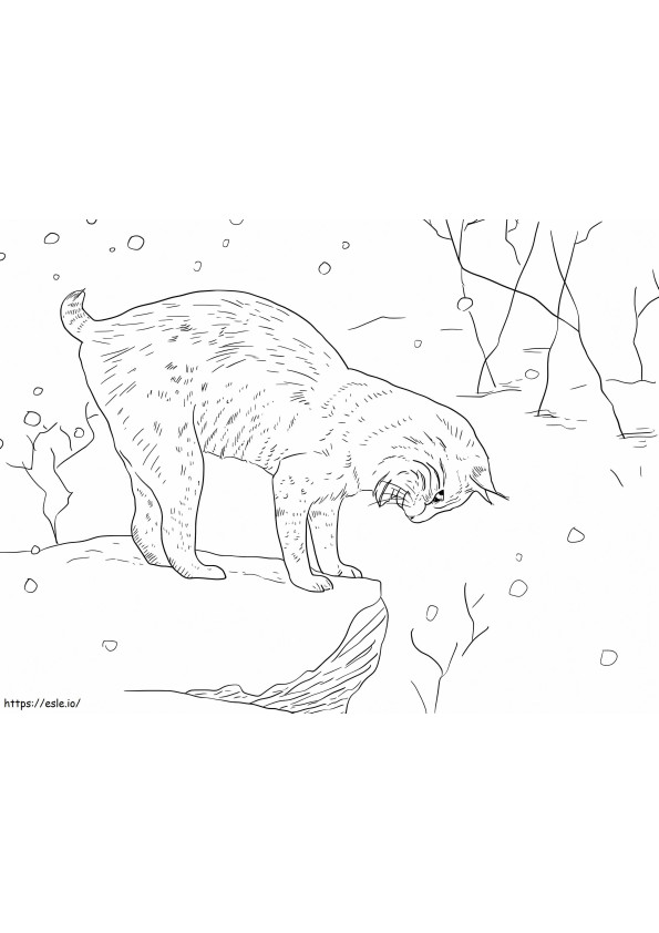 Perfect Lynx coloring page