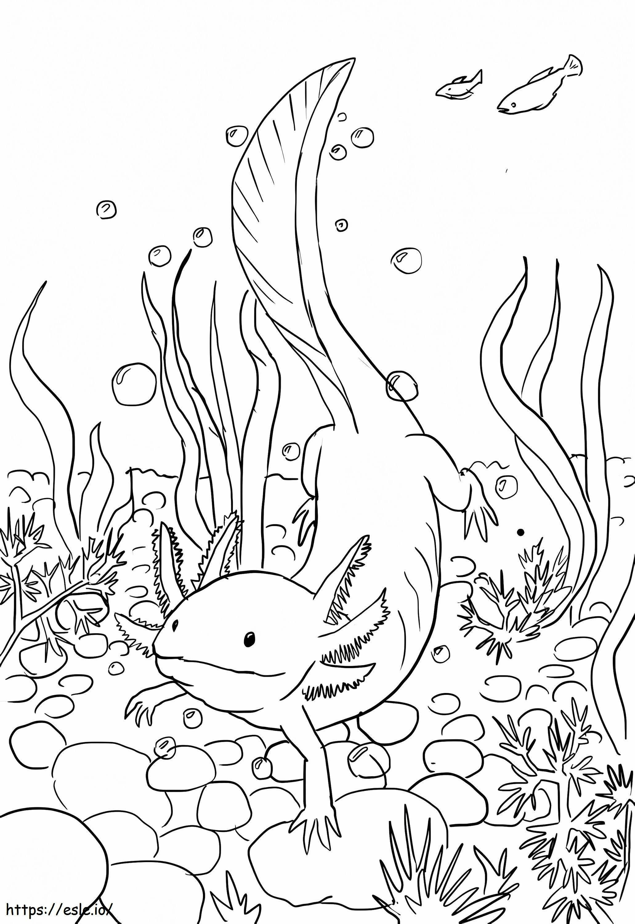 Axolotl schwimmen ausmalbilder
