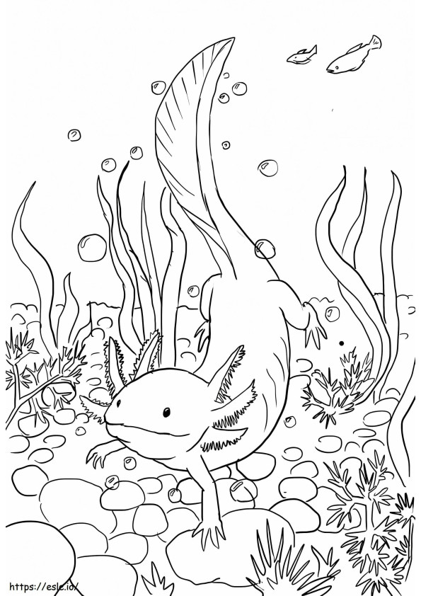 Axolotl-zwemmen kleurplaat