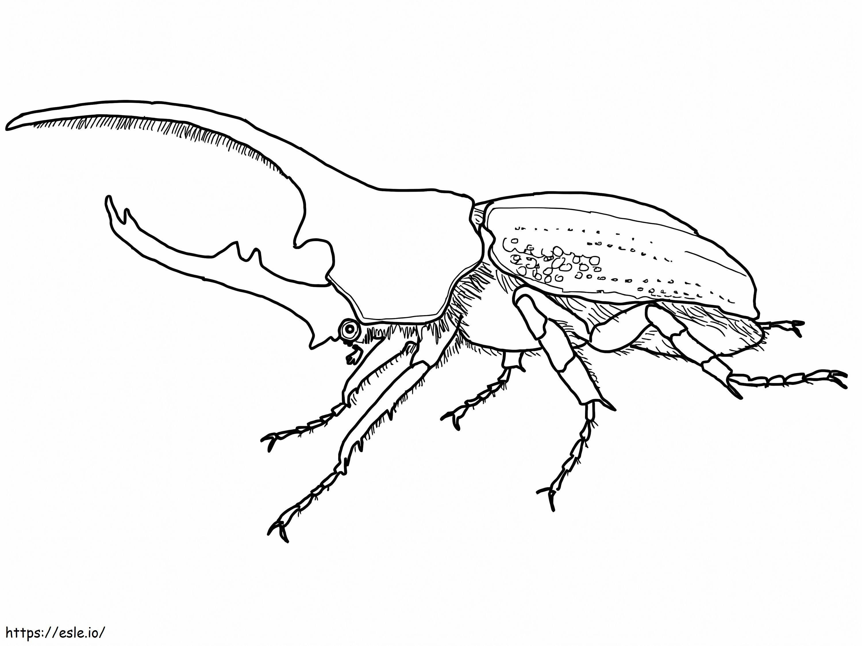 Hercules Beetle coloring page