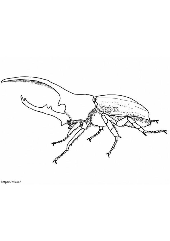 Kumbang Hercules Gambar Mewarnai