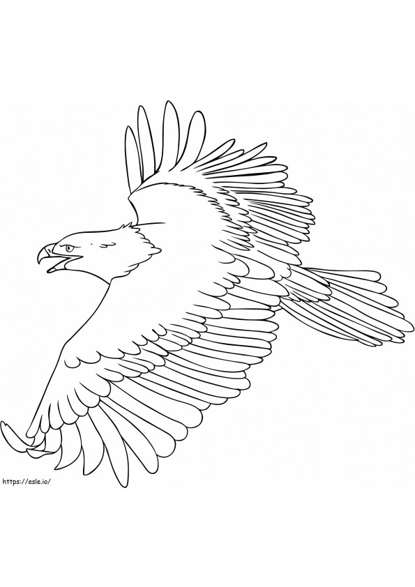 Página para colorir da águia voadora para colorir