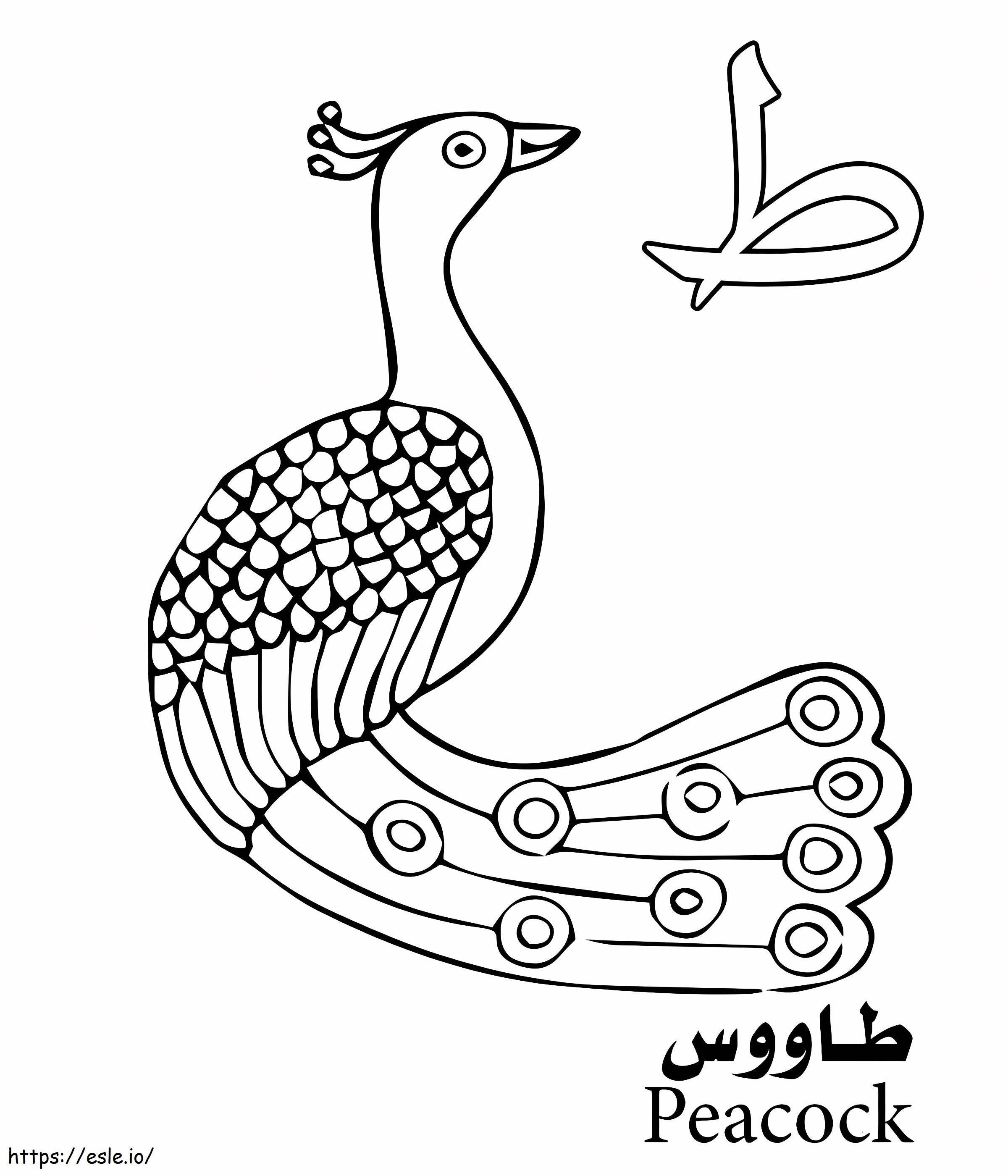 Alfabeto arabo del pavone da colorare