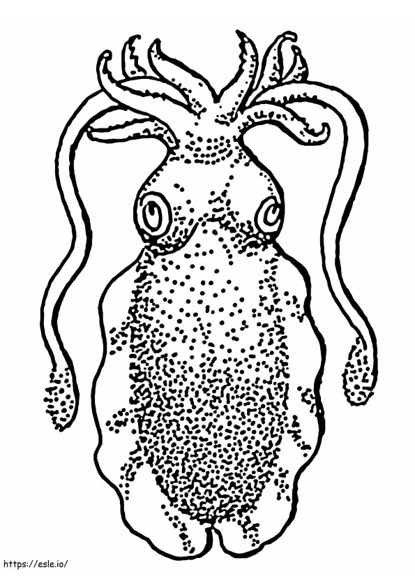 Cuttlefish 1 coloring page