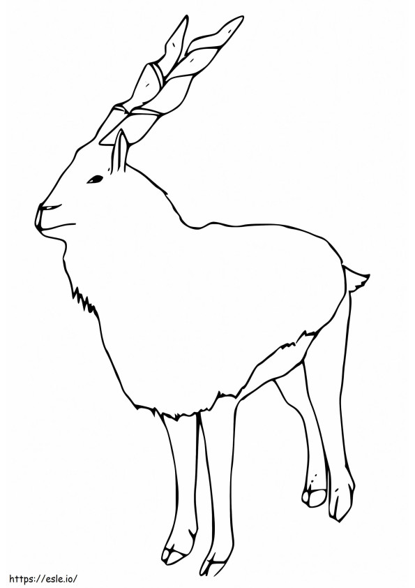 Könnyű Markhor