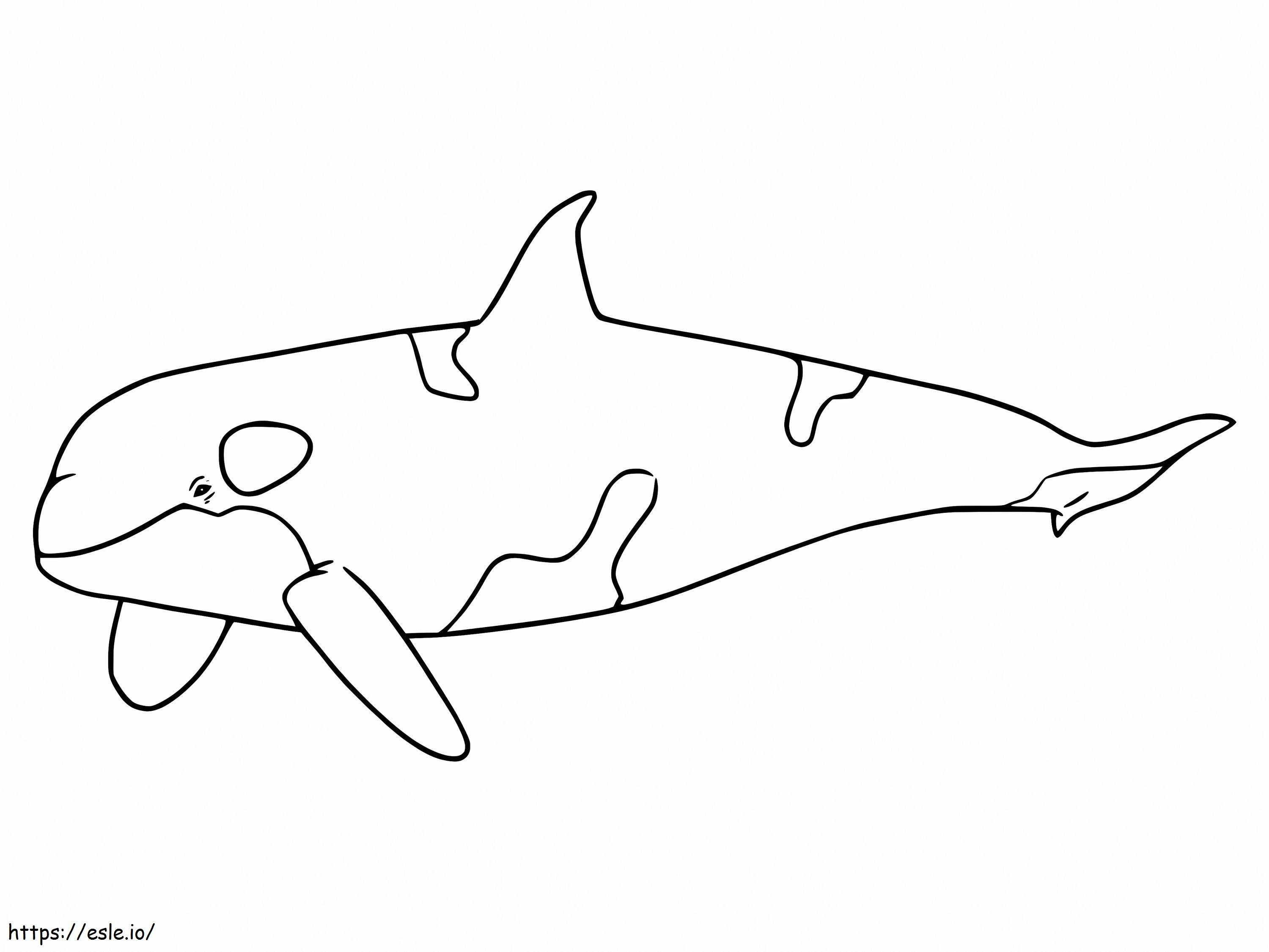 Orca ausmalbilder