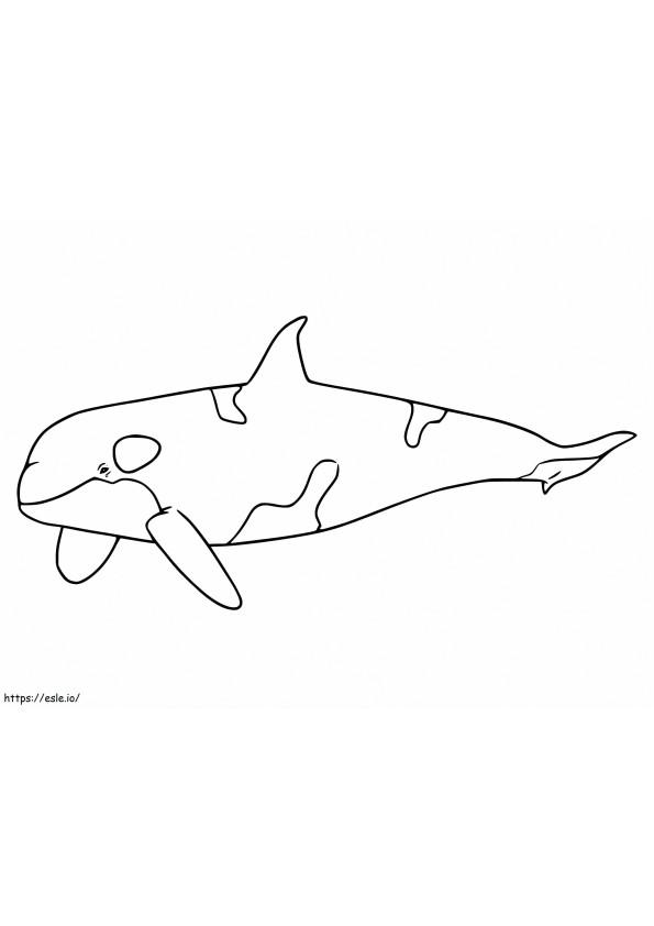 Orca de colorat