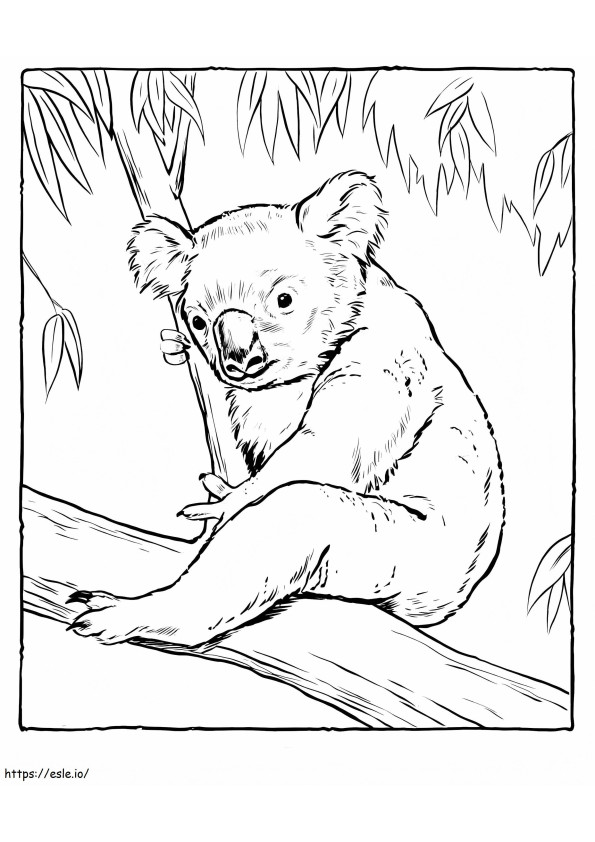 Koala sentado en un árbol para colorear