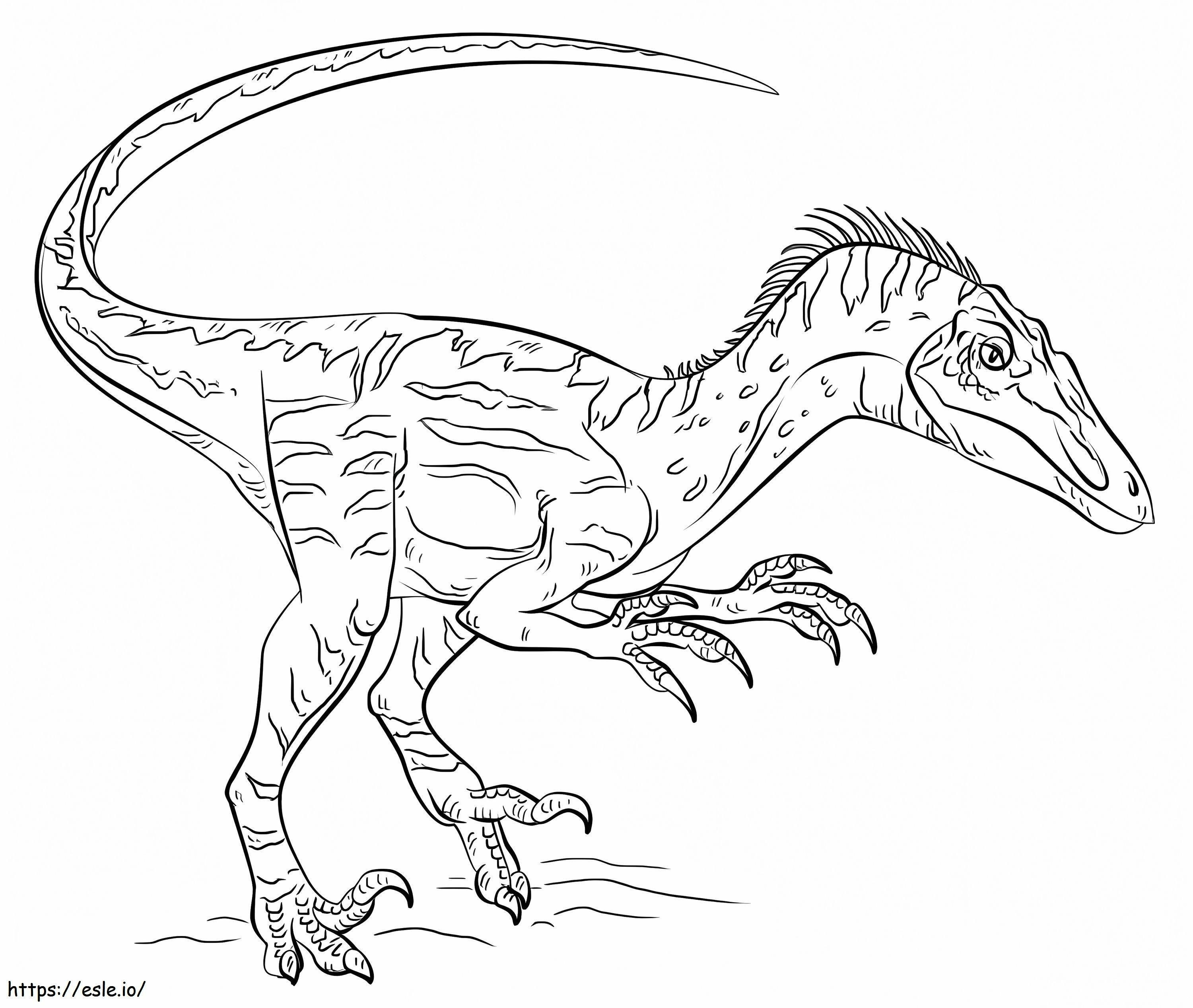 Coloriage Vélociraptor 4 à imprimer dessin