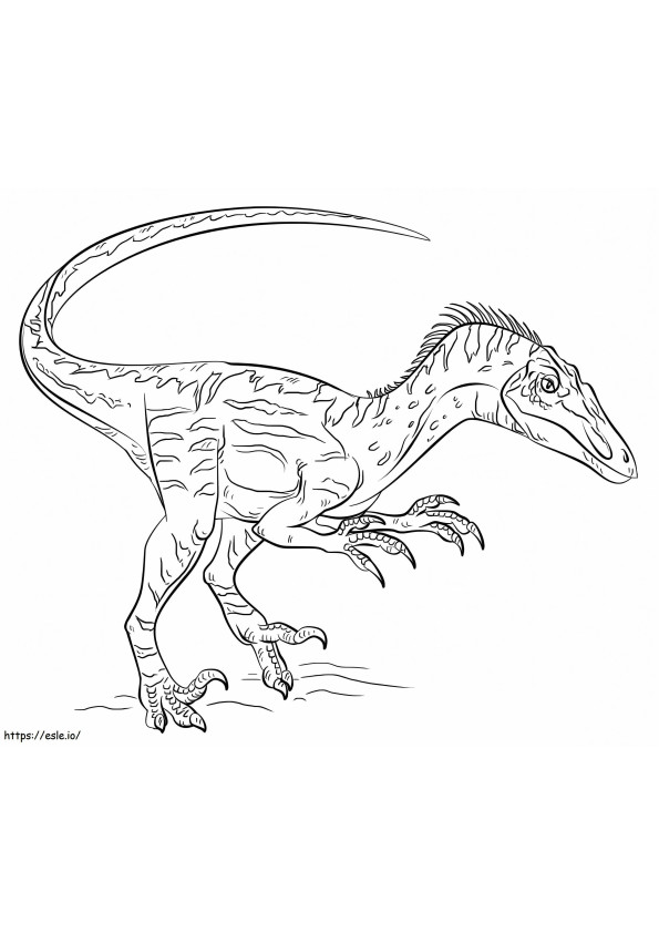 Velociraptor 4 coloring page