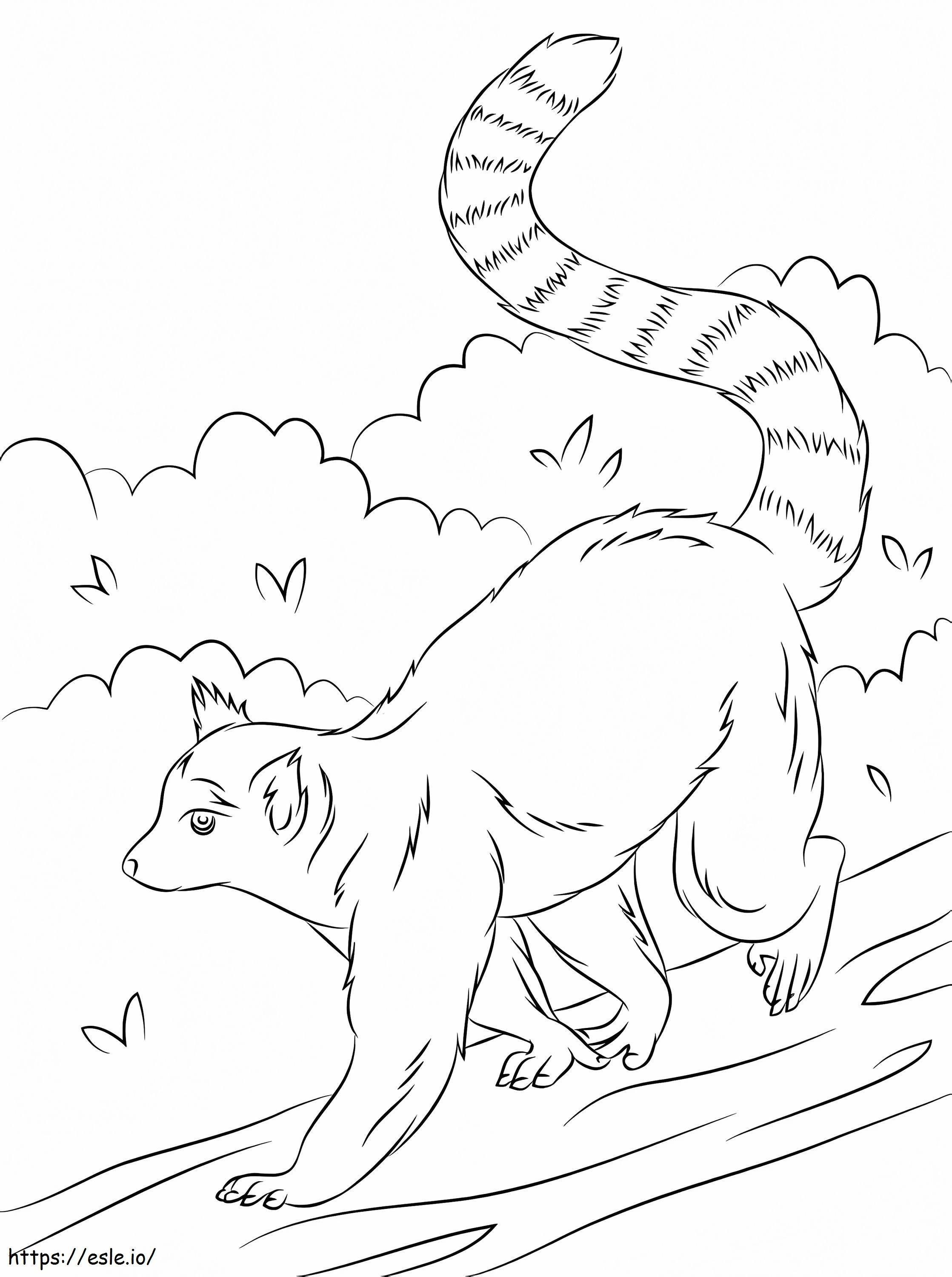 Lemur Walking coloring page