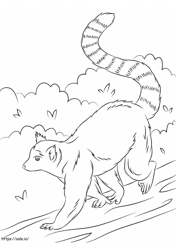Lemur Walking coloring page