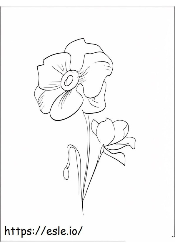 Poppy 2 coloring page