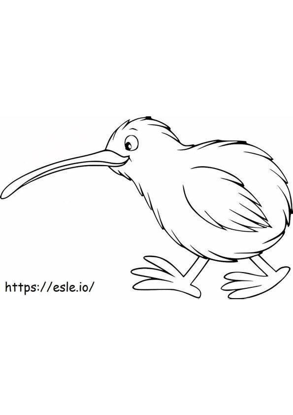 Pássaro Kiwi Fofo para colorir