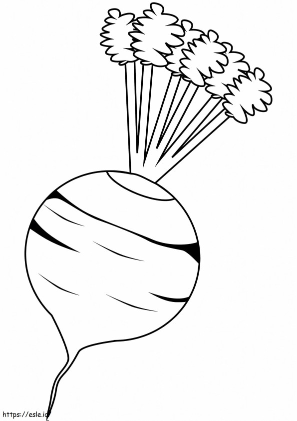 Free Beetroot coloring page