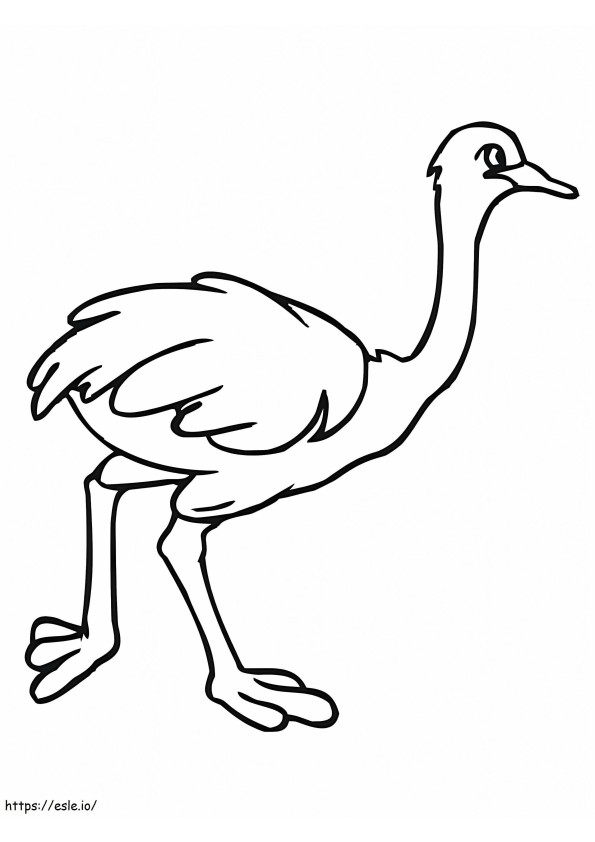African Ostrich coloring page