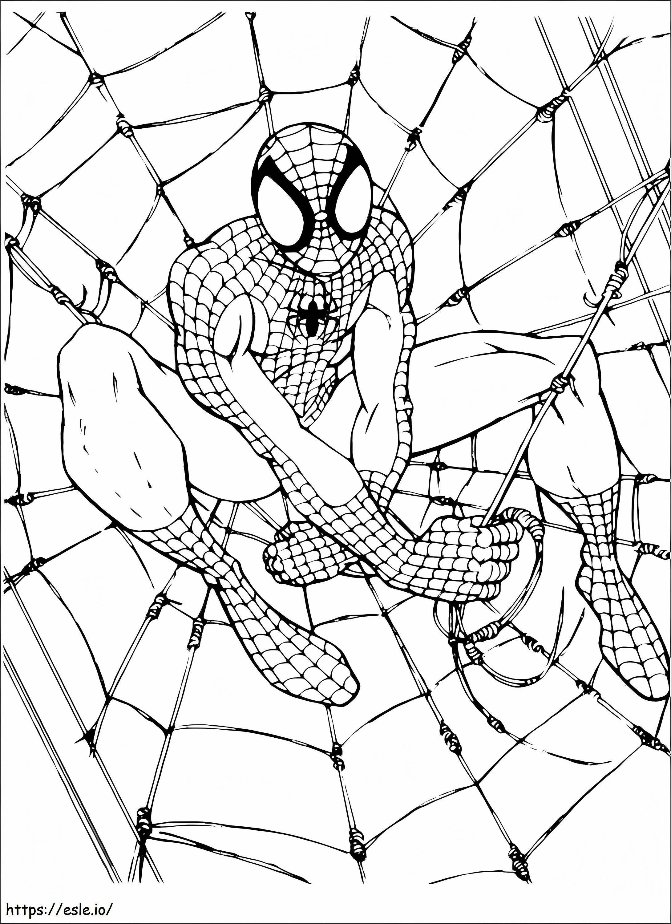 Gratis Foto Van Spider-Man kleurplaat kleurplaat