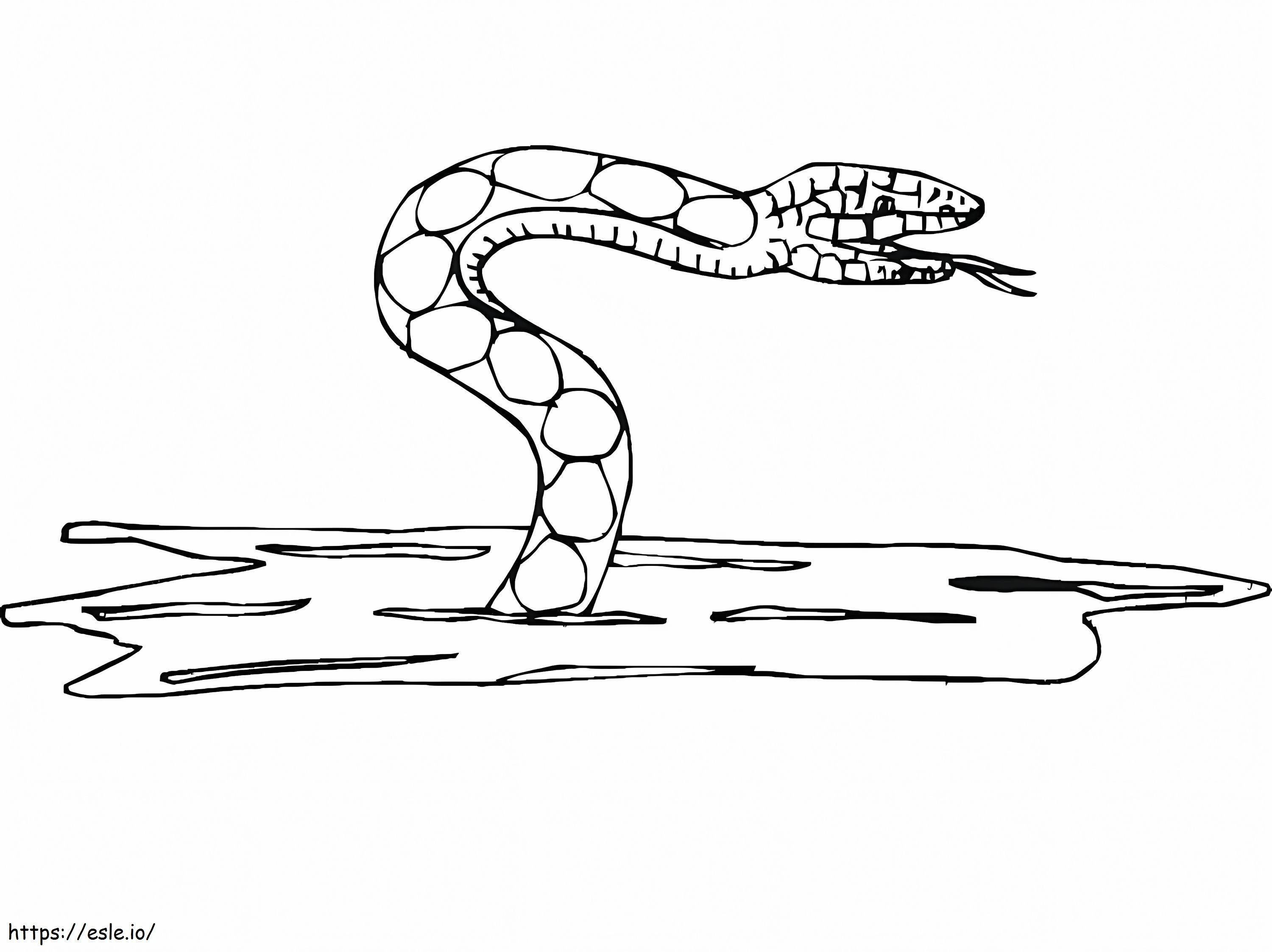 Water Snake coloring page