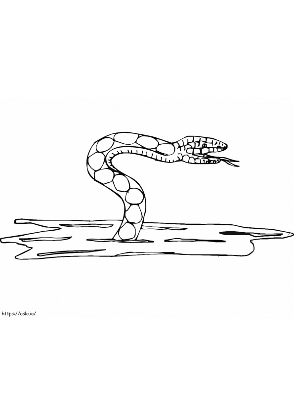 Vesi käärme värityskuva