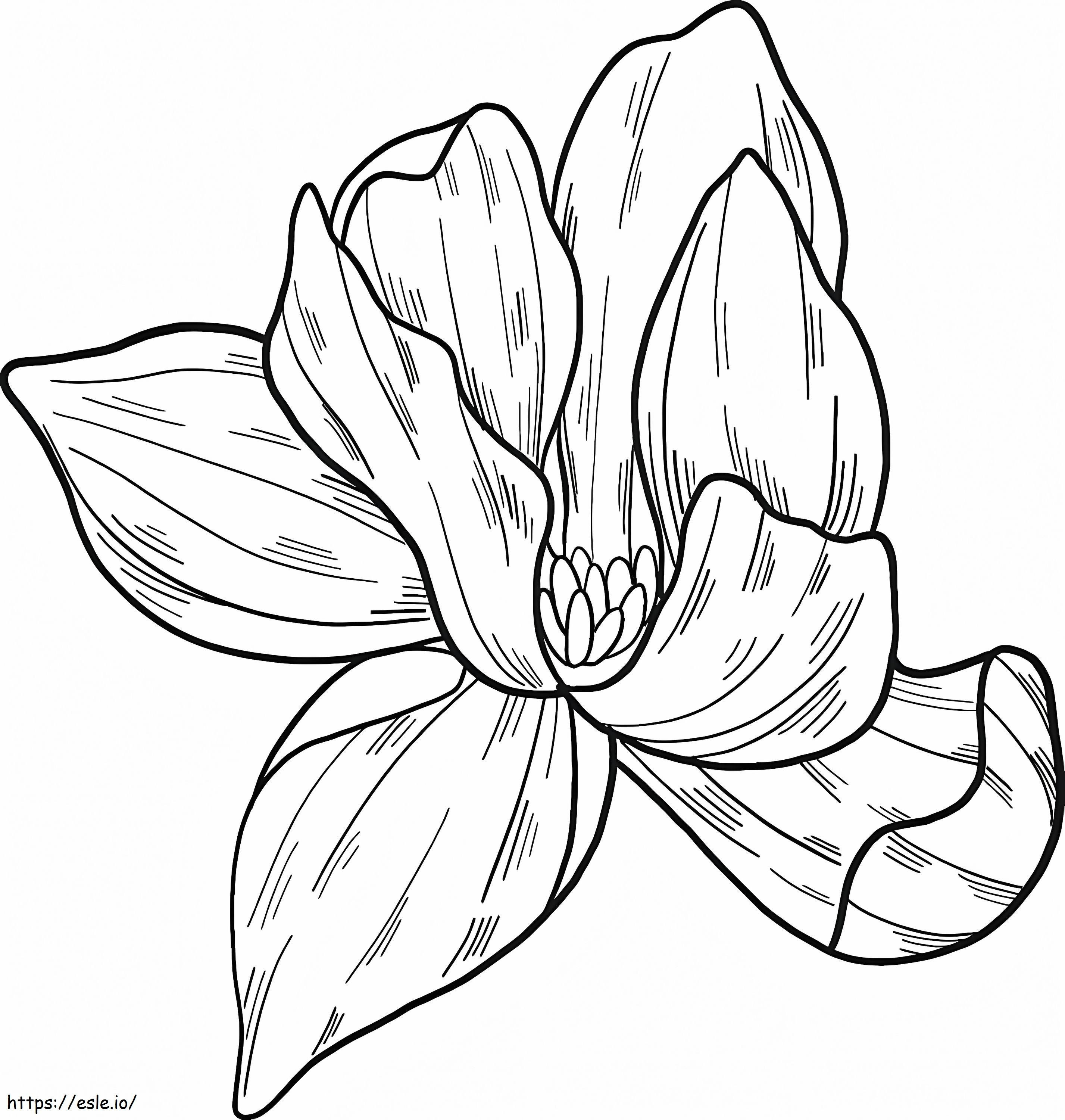 Flor de Magnólia 4 para colorir