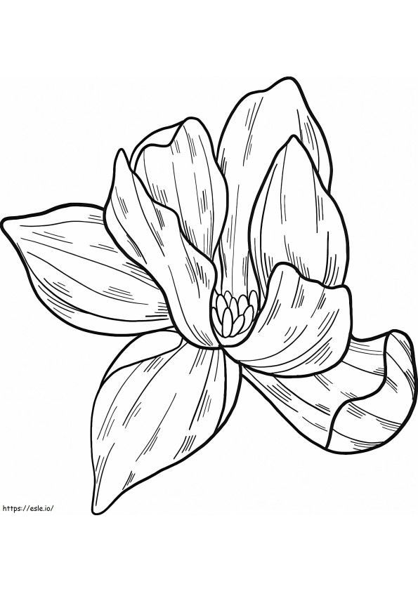 マグノリアの花 4 ぬりえ - 塗り絵