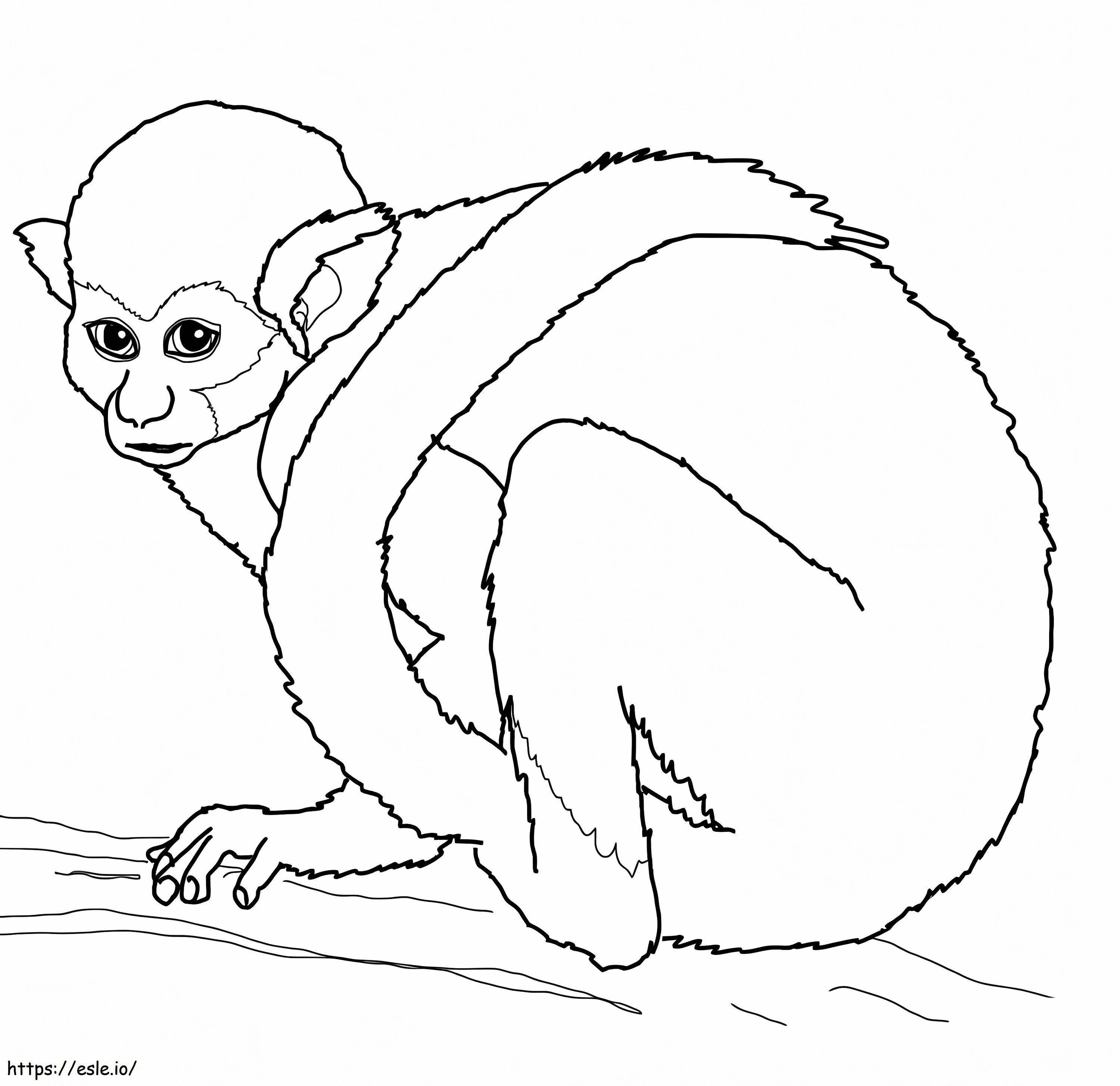 Orava apina värityskuva