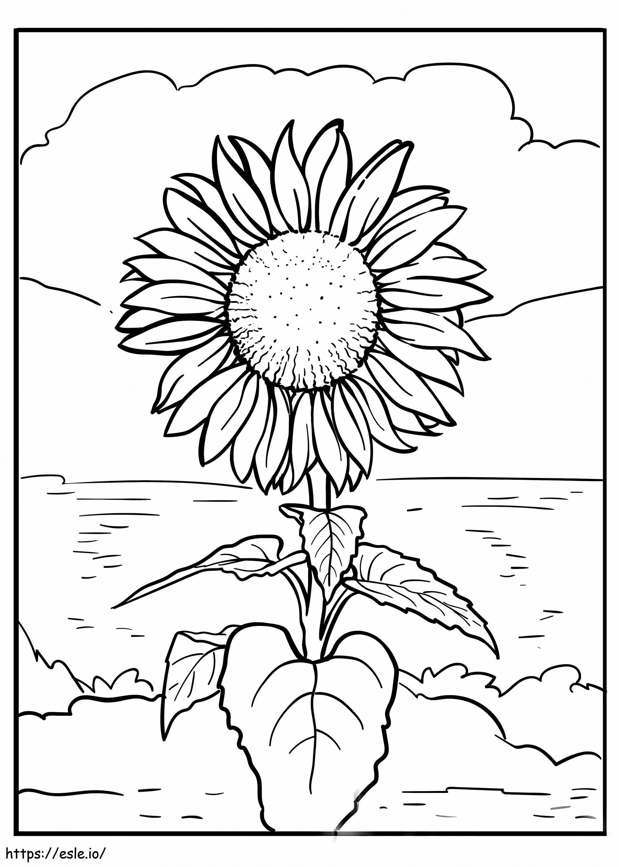 Girasole sulla spiaggia - Disegni da colorare gratis