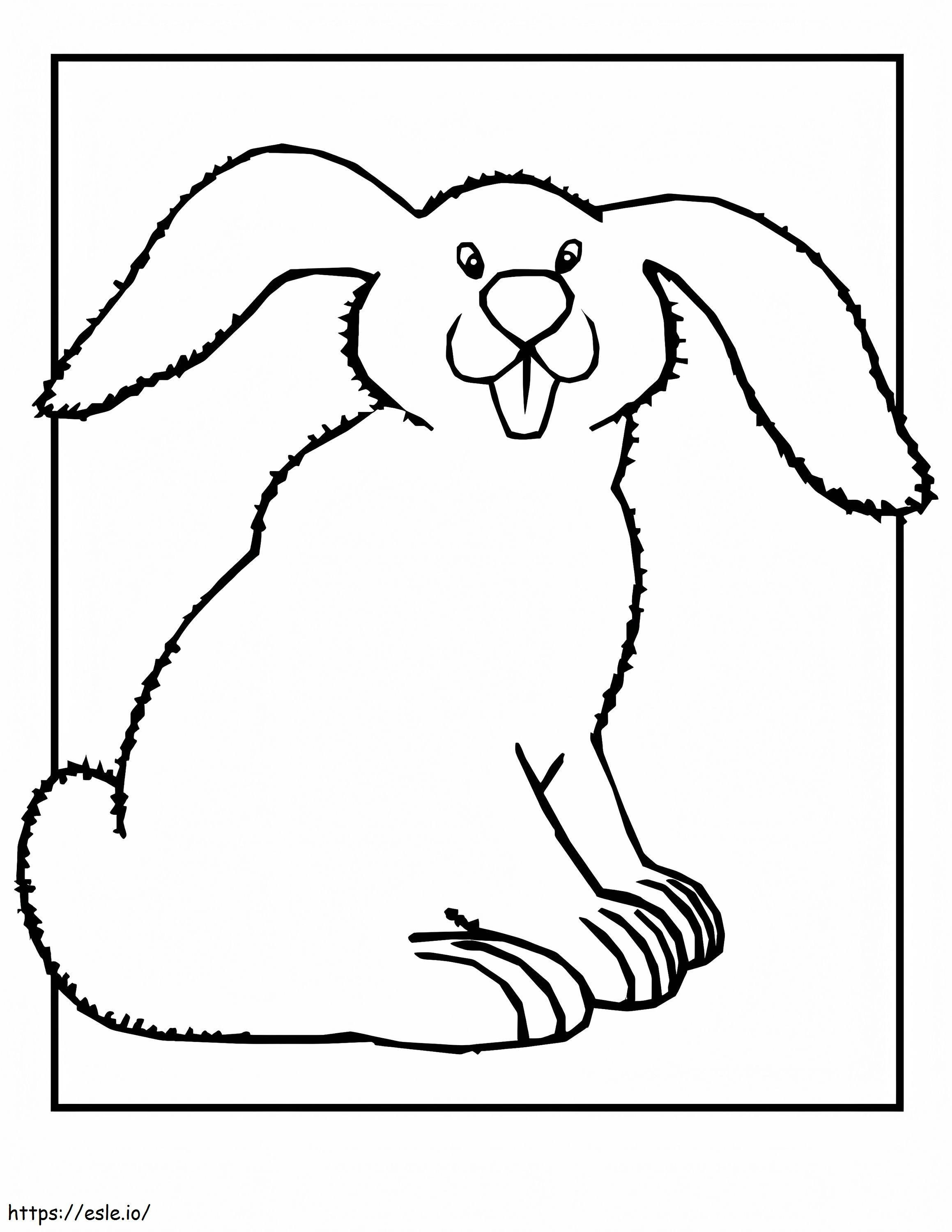 Een wit konijn kleurplaat kleurplaat