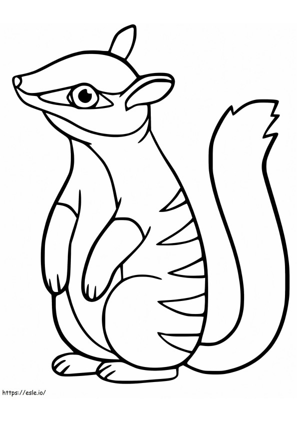 Adorável Numbat