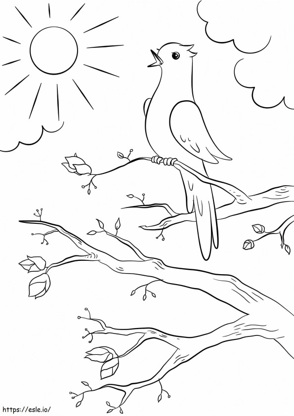 Wiosenny ptak kolorowanka