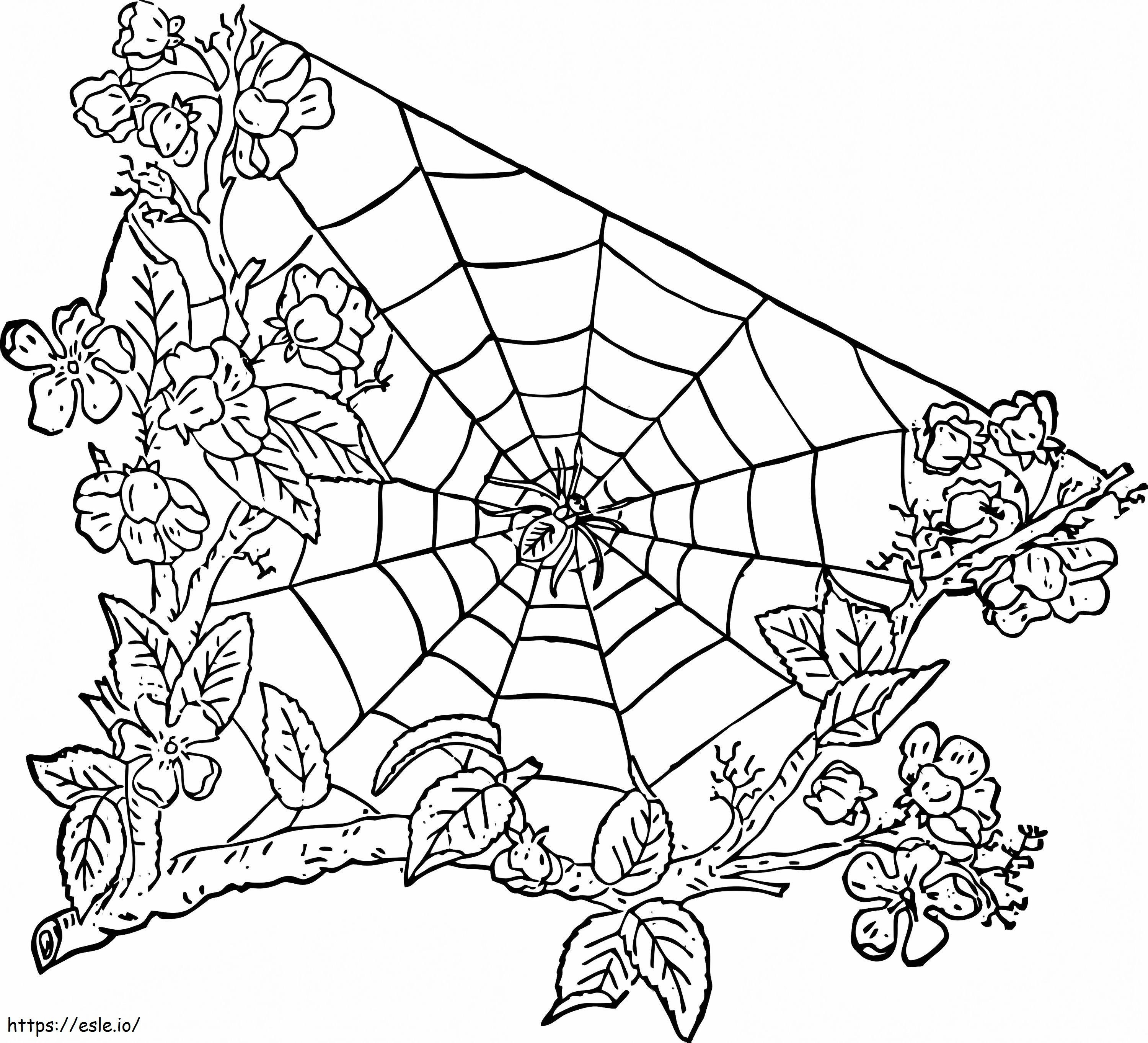 Spider On Spider Web 5 coloring page