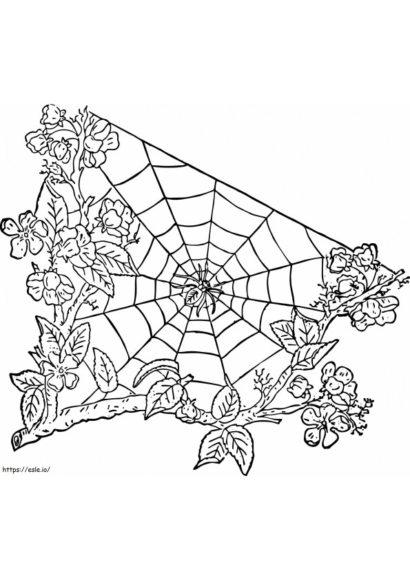 Coloriage Araignée sur toile d'araignée 5 à imprimer dessin
