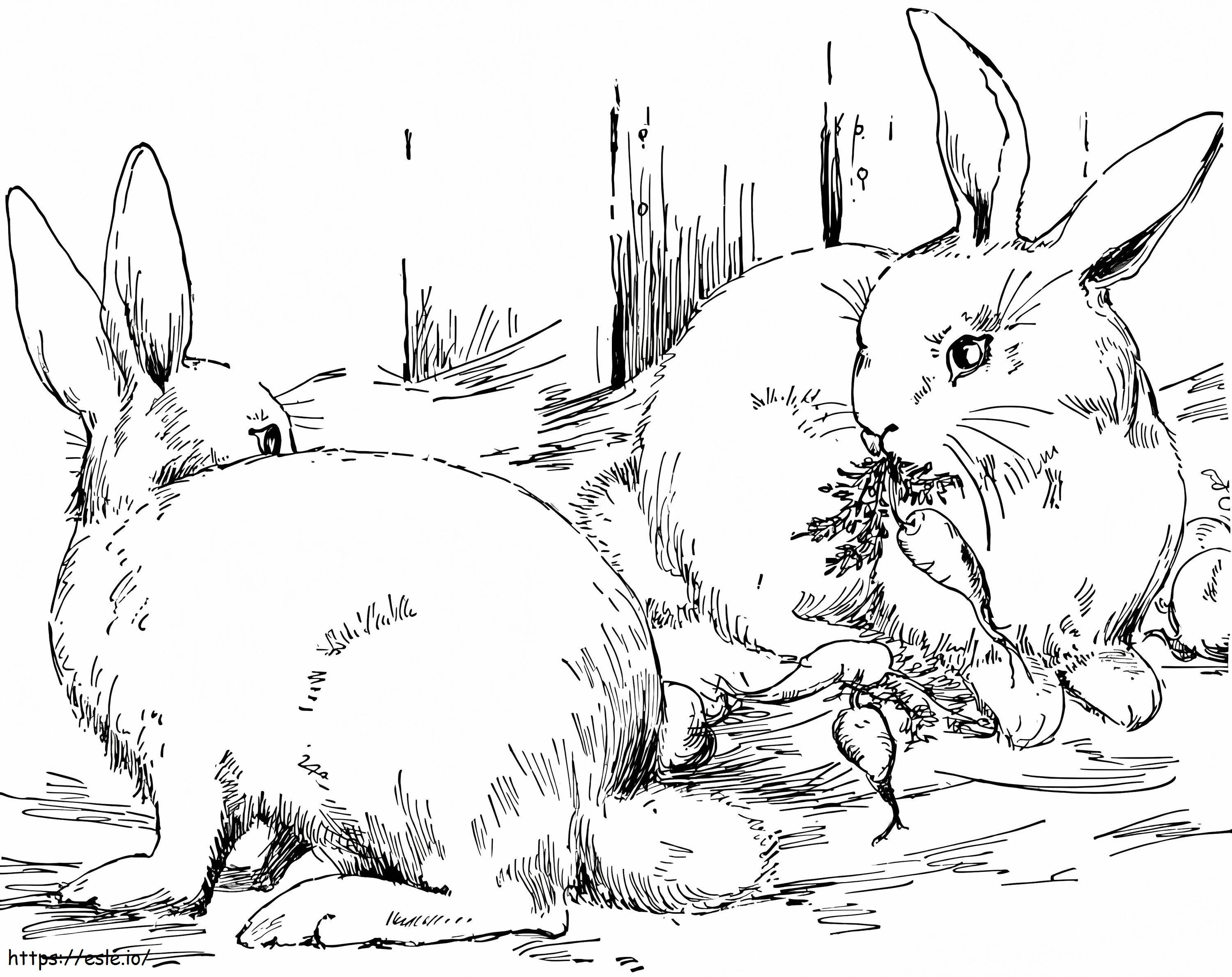 Conejos salvajes para colorear