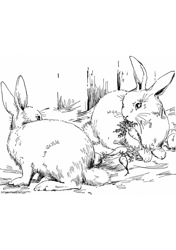 Wild Rabbits coloring page