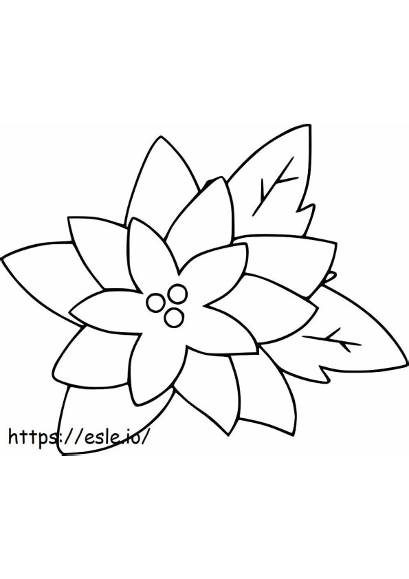 Coloriage Poinsettia 1 à imprimer dessin