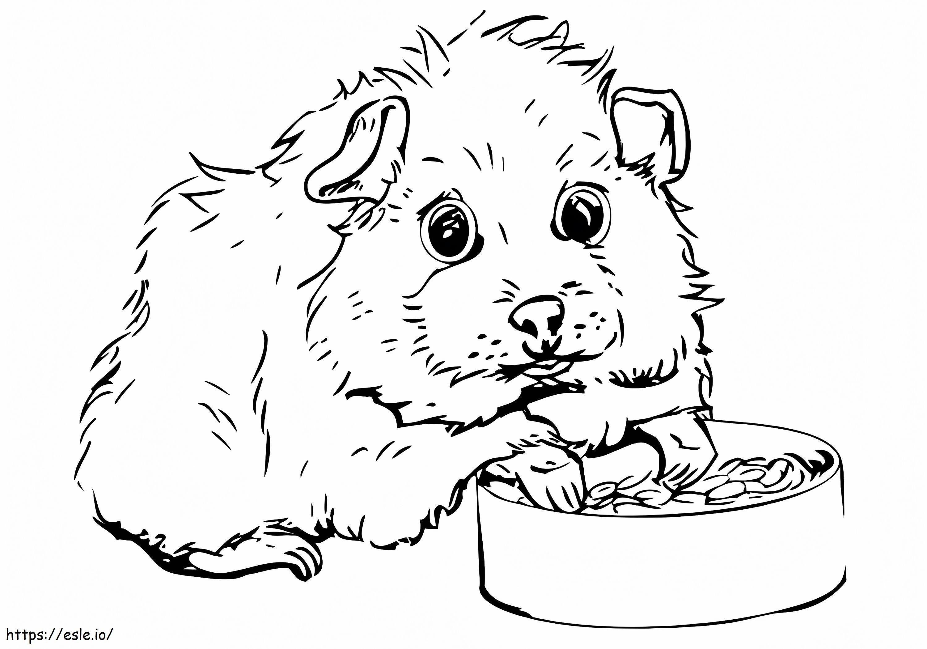 Makan Babi Guinea Gambar Mewarnai