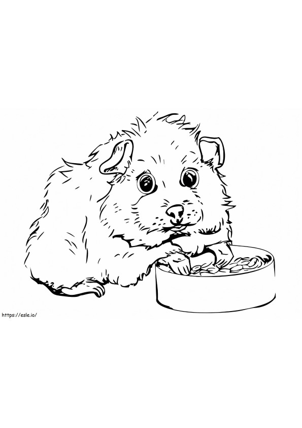 Coloriage Manger un cochon d'Inde à imprimer dessin
