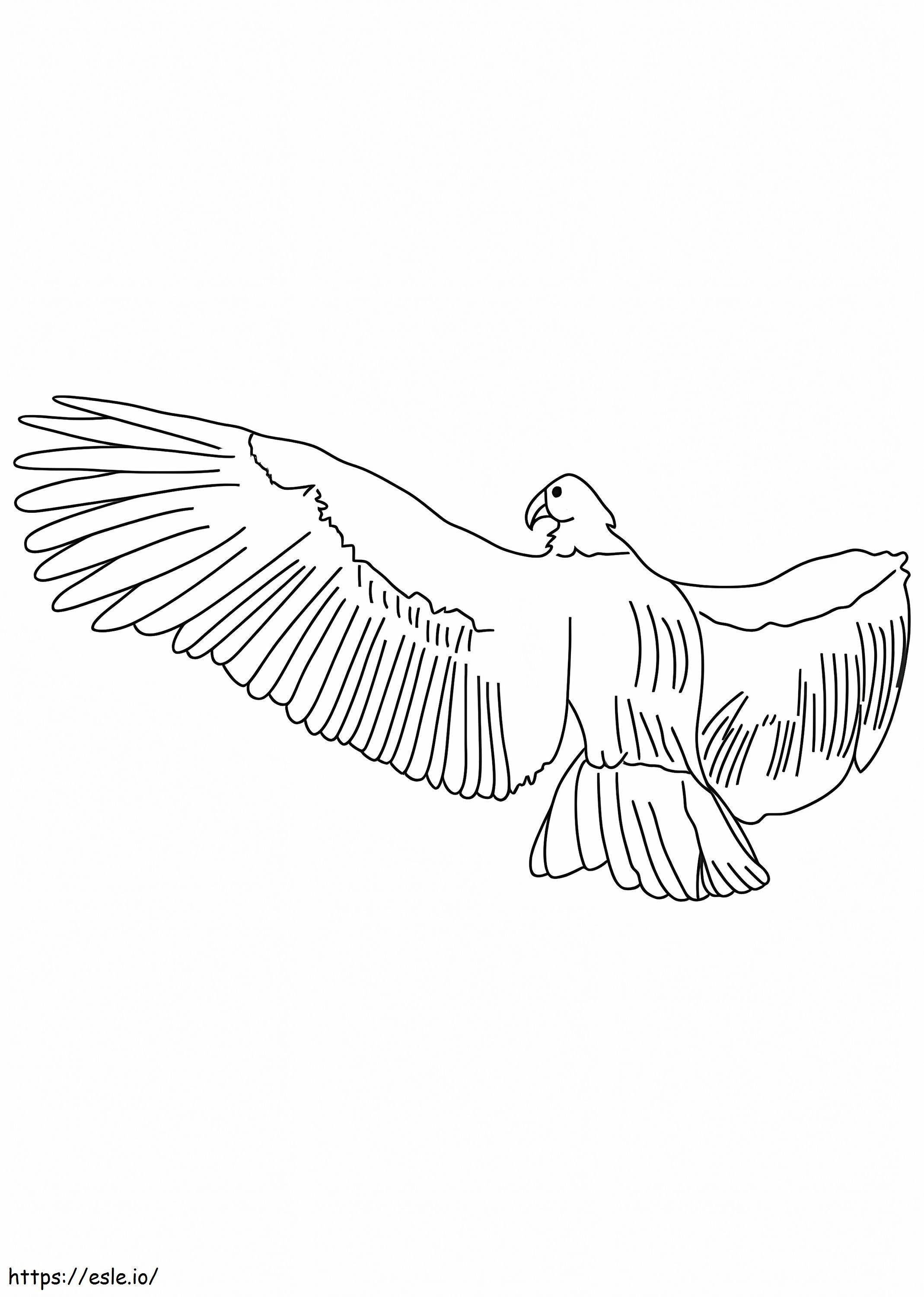 Ein Andenkondor fliegt hoch ausmalbilder