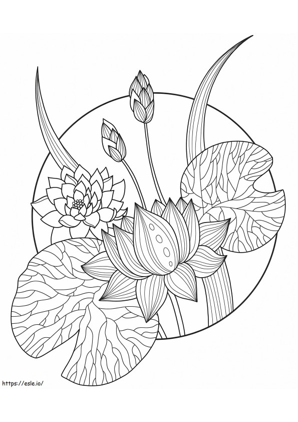 Bezpłatny kwiat lotosu kolorowanka