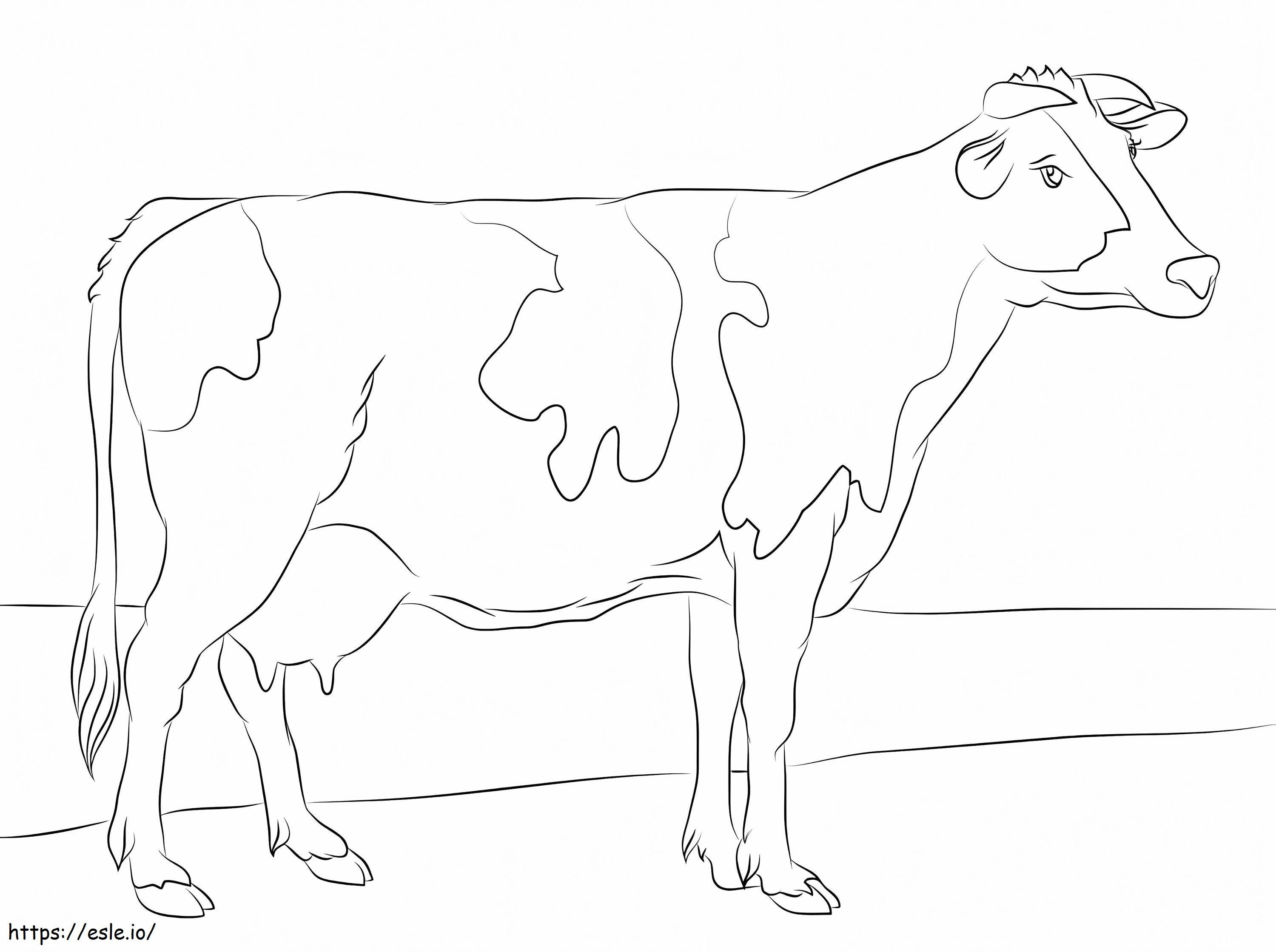 Vaca Holstein kolorowanka