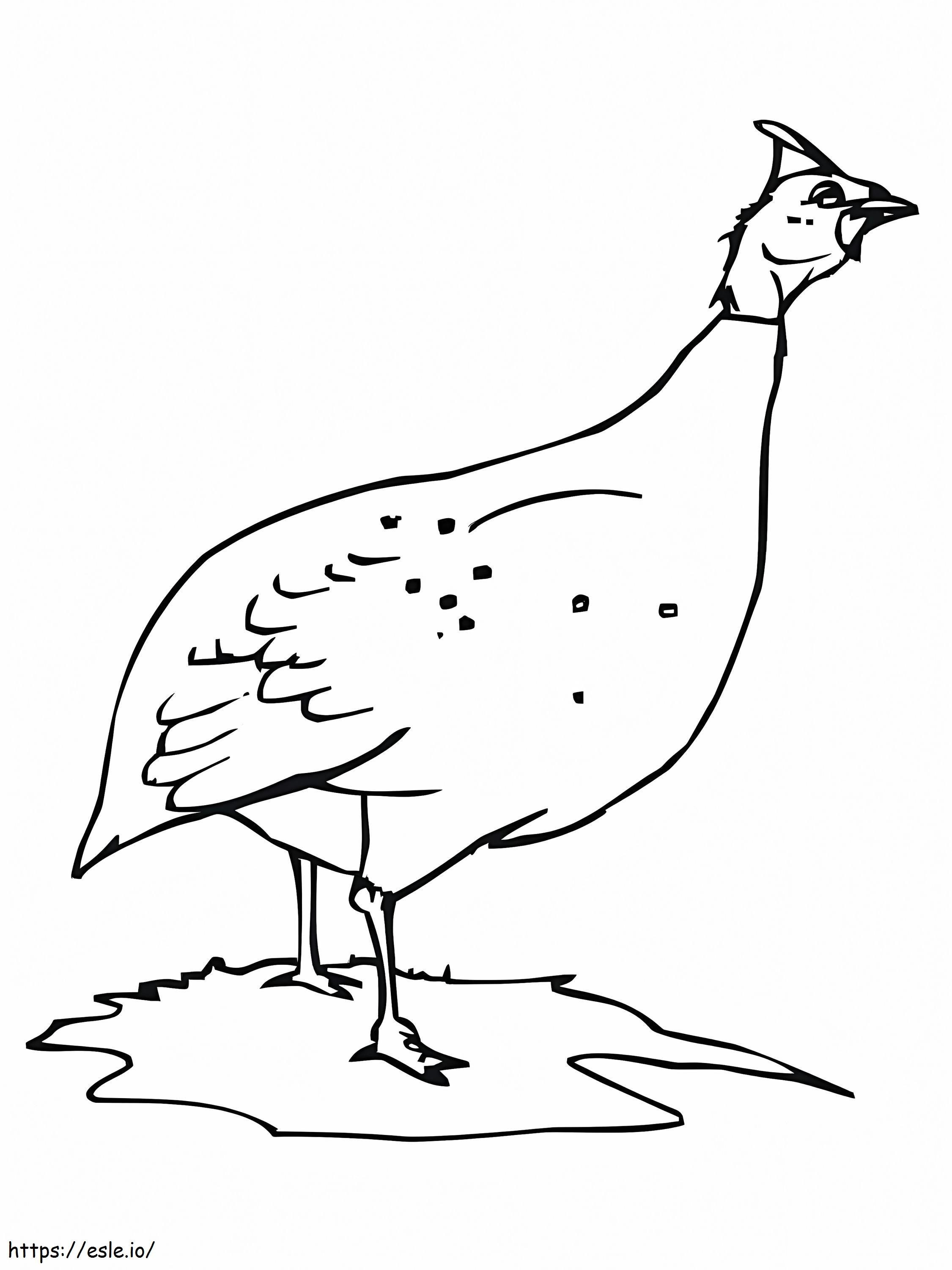 Hen Or Guinea Fowl coloring page