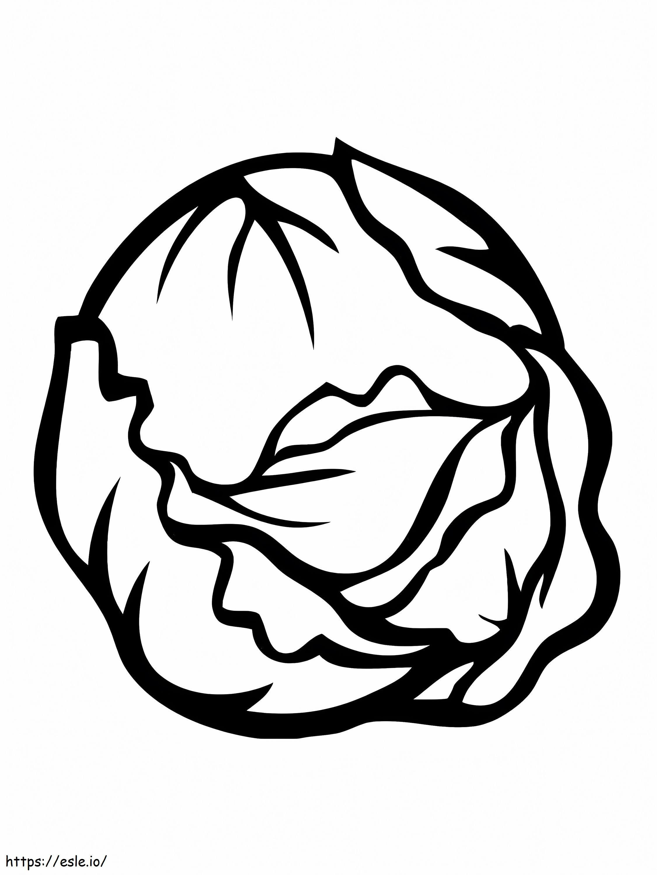 Normal Cabbage 2 coloring page