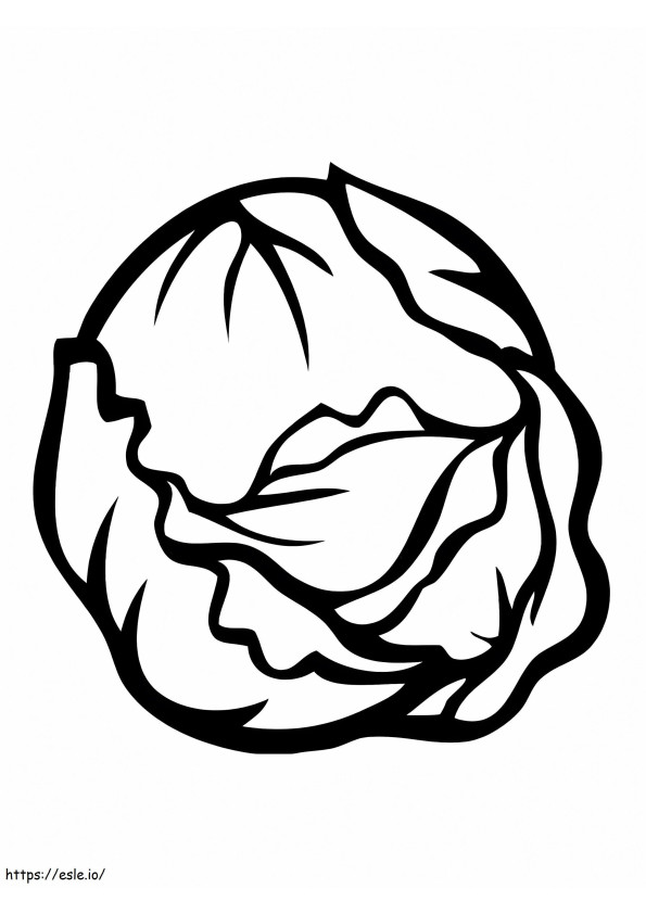 Normal Cabbage 2 coloring page