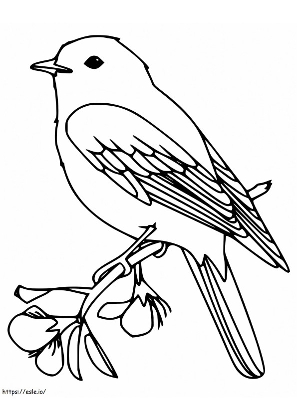 Coloriage Oiseau bleu imprimable à imprimer dessin