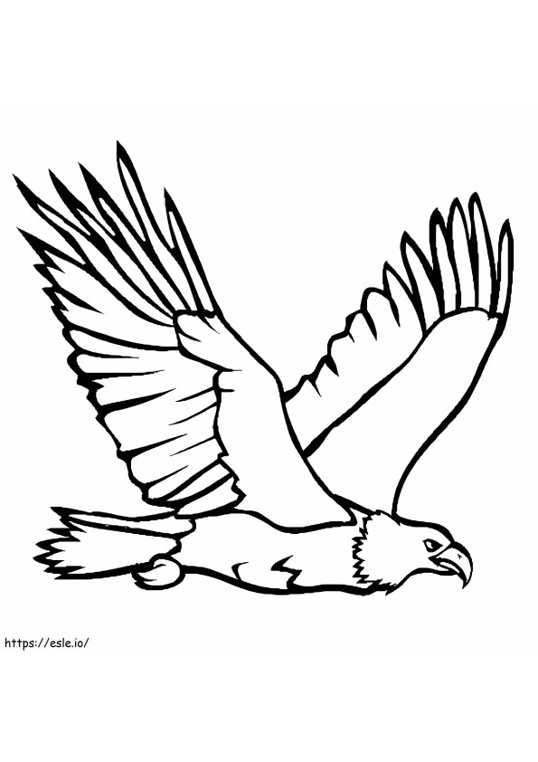 Eagle Drawing