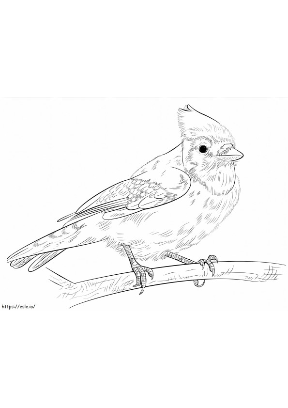 Blue Jay On Branch coloring page
