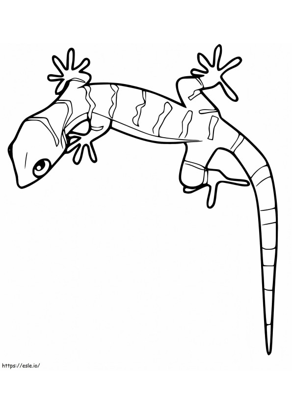 Coloriage Gecko bagué à imprimer dessin