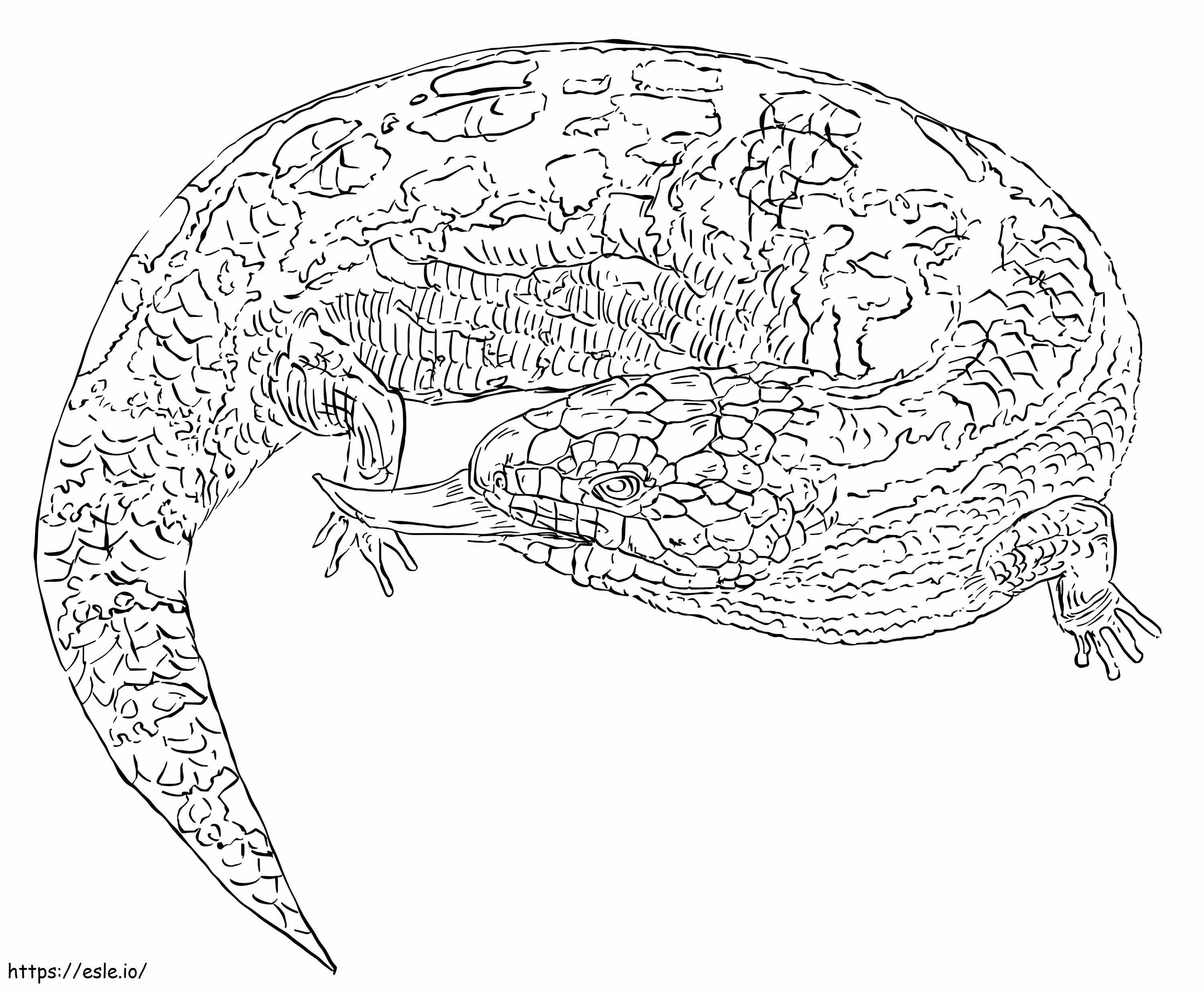 Blue Tongued Skink coloring page