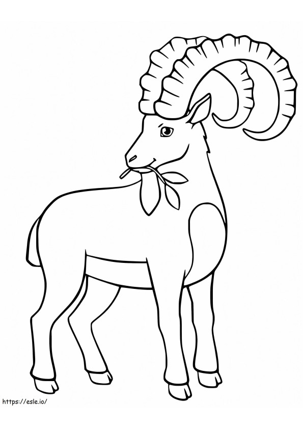 Printable Ibex coloring page