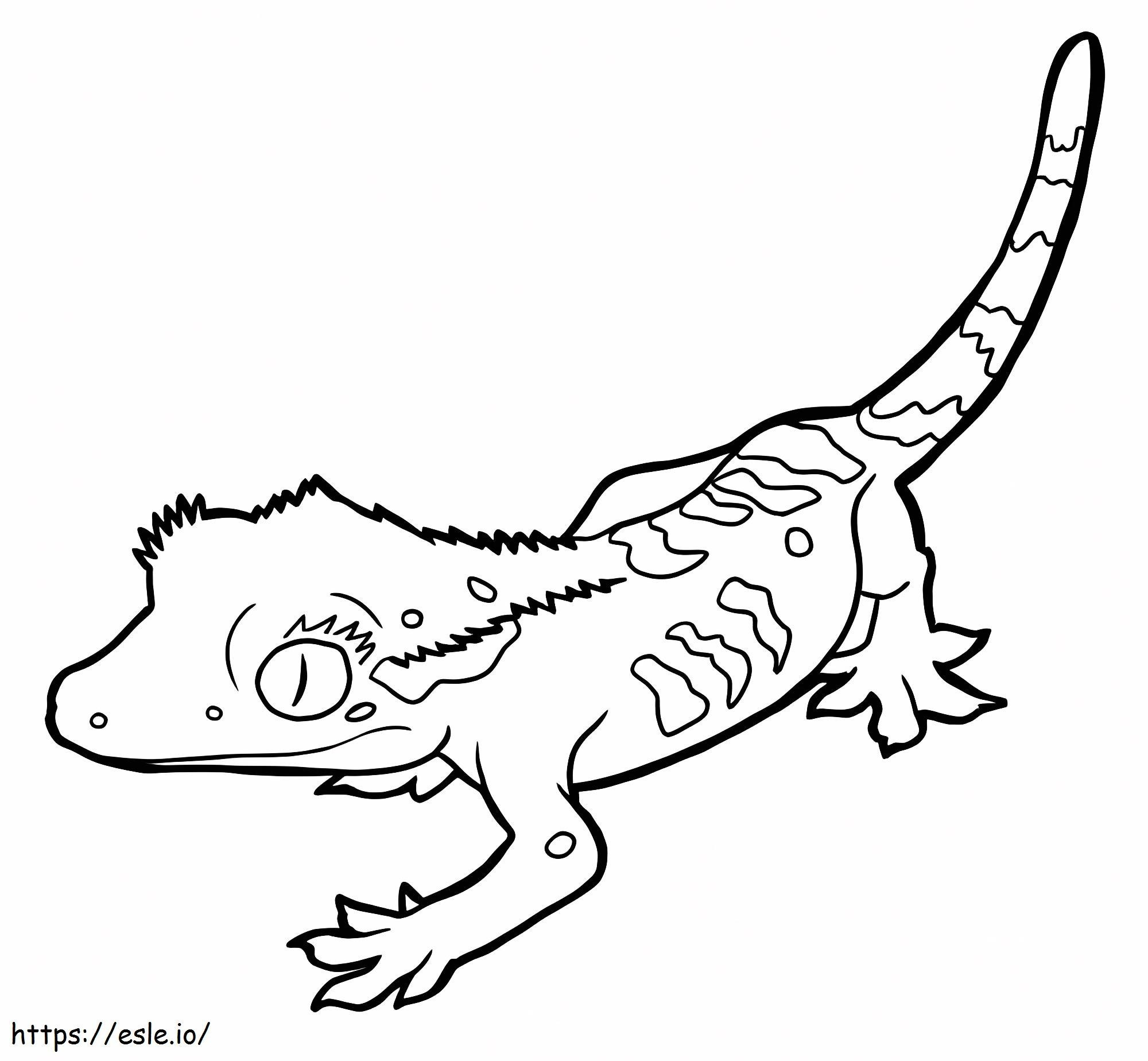 Coloriage Joli gecko à imprimer dessin
